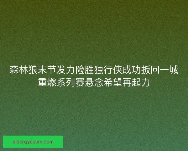 森林狼末节发力险胜独行侠成功扳回一城重燃系列赛悬念希望再起力
