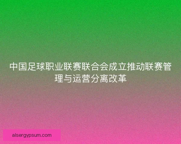 中国足球职业联赛联合会成立推动联赛管理与运营分离改革